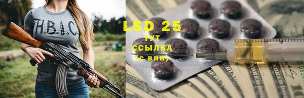 трава Иннополис