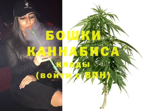 трава Иннополис
