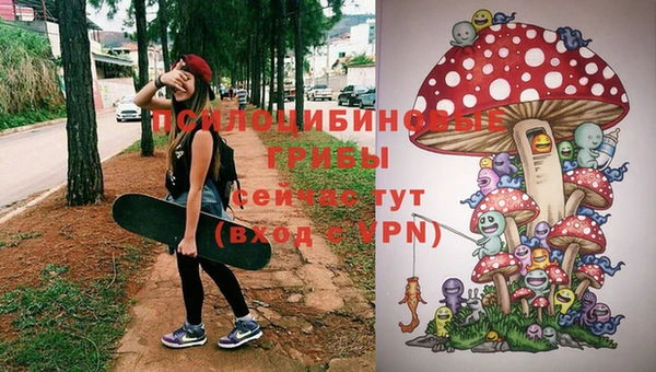 трава Иннополис