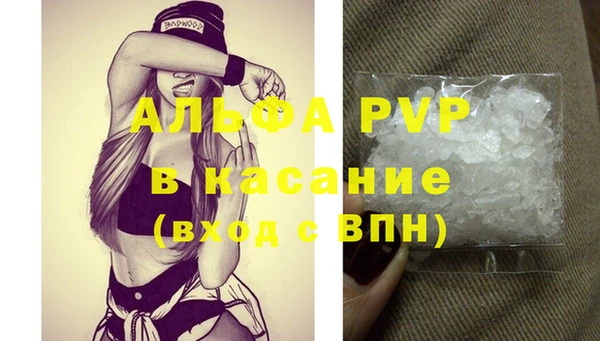 трава Иннополис
