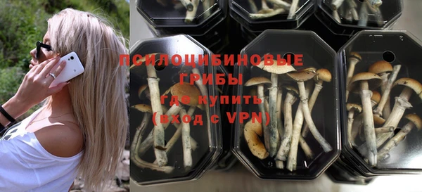 MESCALINE Инта