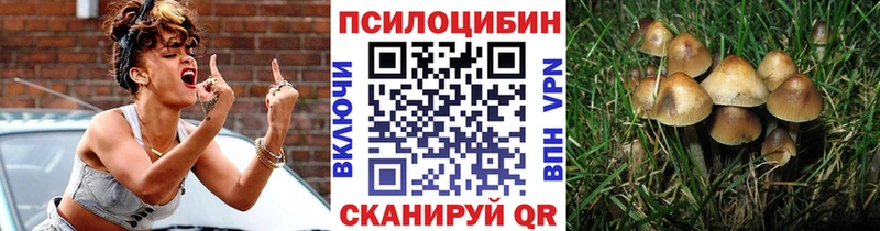 Купить закладки  Верхний Уфалей  Псилоцибиновые грибы мицелий 